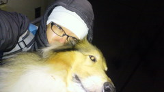 「冷たい雨」 エルフドッグスクール 東京 犬の出張しつけ訓練