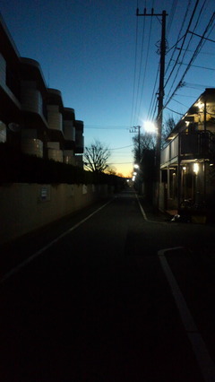 『朝いちトレーニングも明るく』 エルフドッグスクール 東京都内 犬の出張しつけ訓練