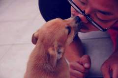 『安心してください。なついてますよ♪とにかく明るいヤスノリ♪』 安心の愛犬トレーニング 東京練馬エルフドッグスクール ドッグトレーナー 訓練士