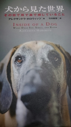 『「犬から見た世界」を読んでます』愛犬に笑顔を♪ 犬のしつけ訓練トレーニングは安心のエルフドッグスクール 東京練馬 中野 杉並 世田谷 武蔵野市 西東京市