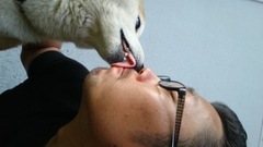 『噛みつき犬を強制訓練すると余計に悪化する理由』愛犬を笑顔に♪東京出張トレーニングのエルフドッグスクール 練馬 杉並 中野 世田谷 武蔵野市
