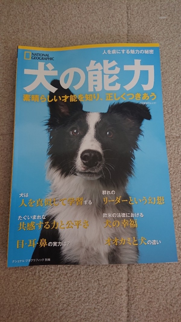 ナショナルジオグラフィック 別冊 新刊『犬の能力』早速読了サムネイル