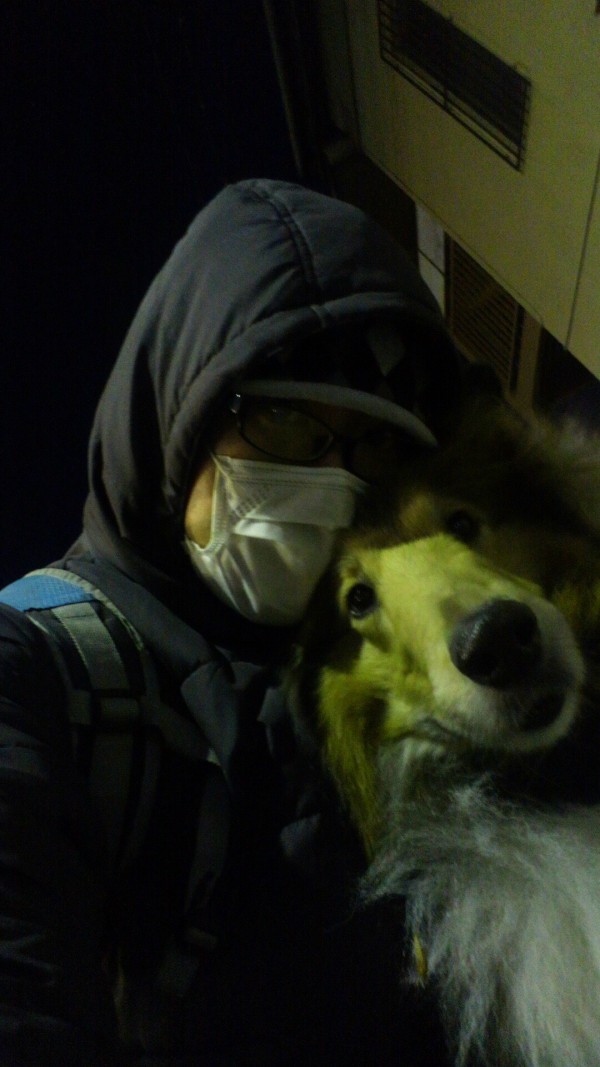 『2015年スタート』 エルフドッグスクール 東京 犬の出張しつけ訓練サムネイル