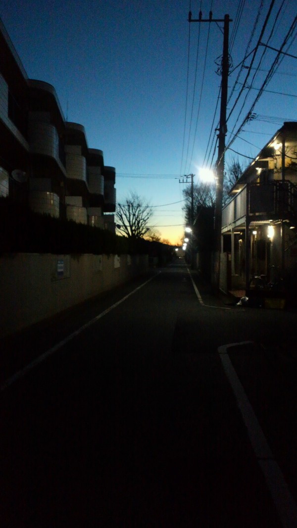 『朝いちトレーニングも明るく』 エルフドッグスクール 東京都内 犬の出張しつけ訓練サムネイル