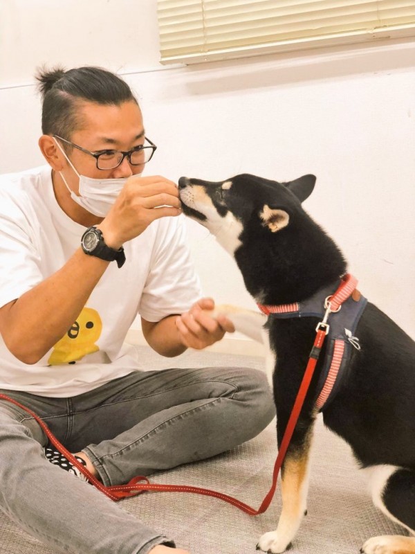 子犬のしつけどこでする？③〜犬のしつけ教室のメリット・デメリット〜サムネイル