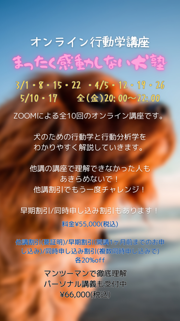 オンラインで全国どこでも【愛犬のための応用行動分析学講座】まったく感動しない犬塾2024年新規受講生募集【愛犬の問題行動専門ドッグトレーナー】エルフドッグスクール 東京 練馬サムネイル