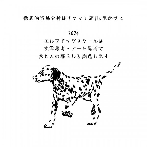 2024年に選ばれるドッグトレーナーは？【愛犬の問題行動専門ドッグトレーナー】エルフドッグスクールは東京練馬サムネイル