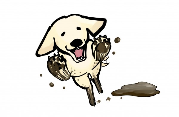 正の強化だと勘違いされる行動連鎖【その方法では愛犬の飛びつきは治らない】愛犬の問題行動を治したいなら東京エルフドッグスクールへサムネイル