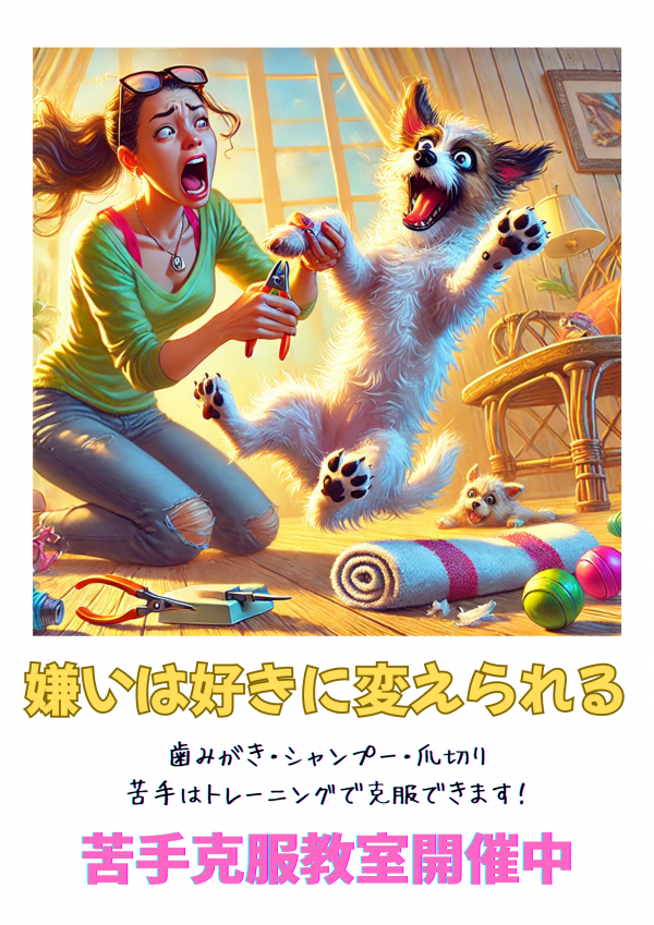 おとなしく診察できますか？お爪切りで暴れませんか？エルフドッグスクール・出張トレーニング／犬の幼稚園サムネイル