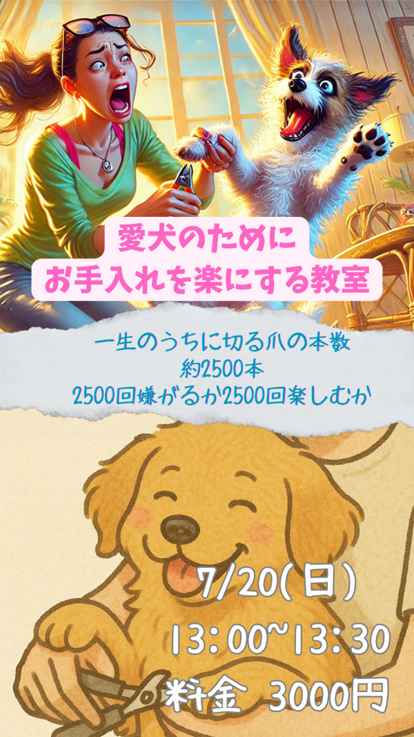 愛犬のためにお手入れを楽にする　お手入れ慣れトレーニング・ハズバンダリートレーニング横浜教室＠ウィスカーズ【愛犬の問題行動専門ドッグトレーニング】エルフドッグスクール　犬の幼稚園　東京/練馬/中野/杉並/新宿/文京サムネイル